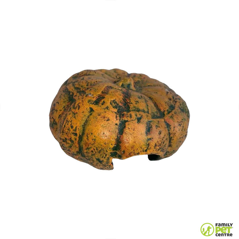 Marcca Reptile Pumpkin Hide
