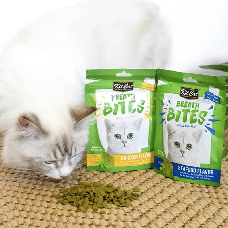 Kit Cat BreathBites Infused with Mint 60g