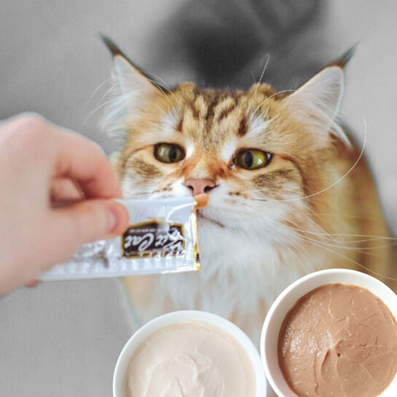 Kit Cat Purr Puree Plus+ Collagen Care Liquid Snack 4x15g