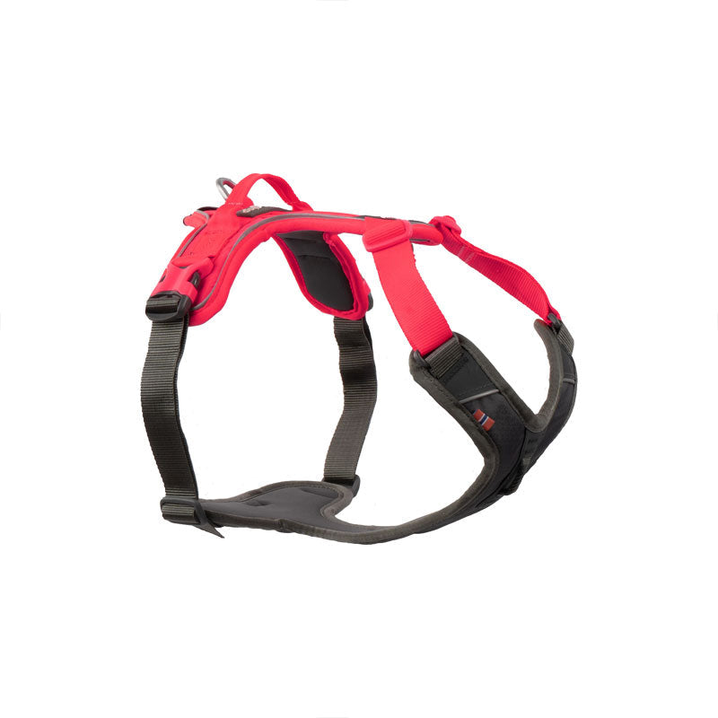 Non-stop dogwear Ramble Harness