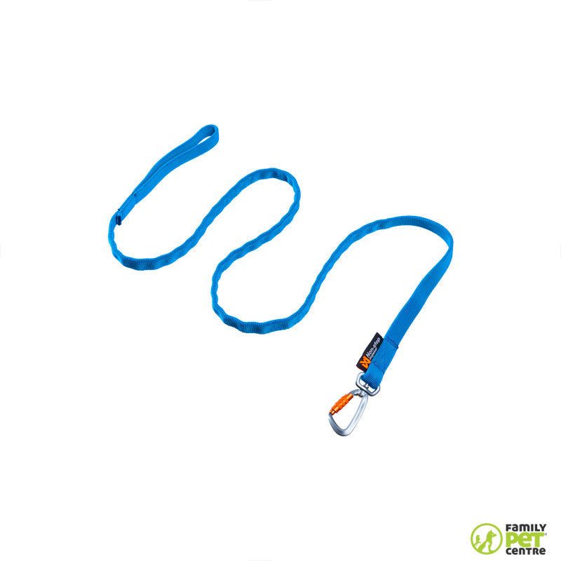 Non-stop dogwear Bungee Leash