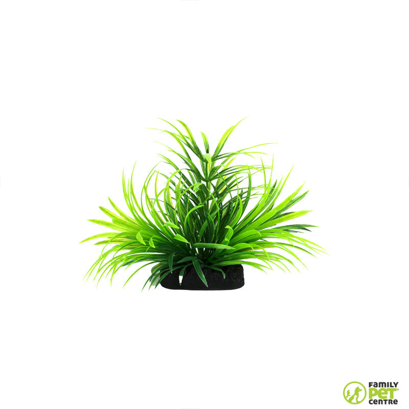 Zugo Green Fern
