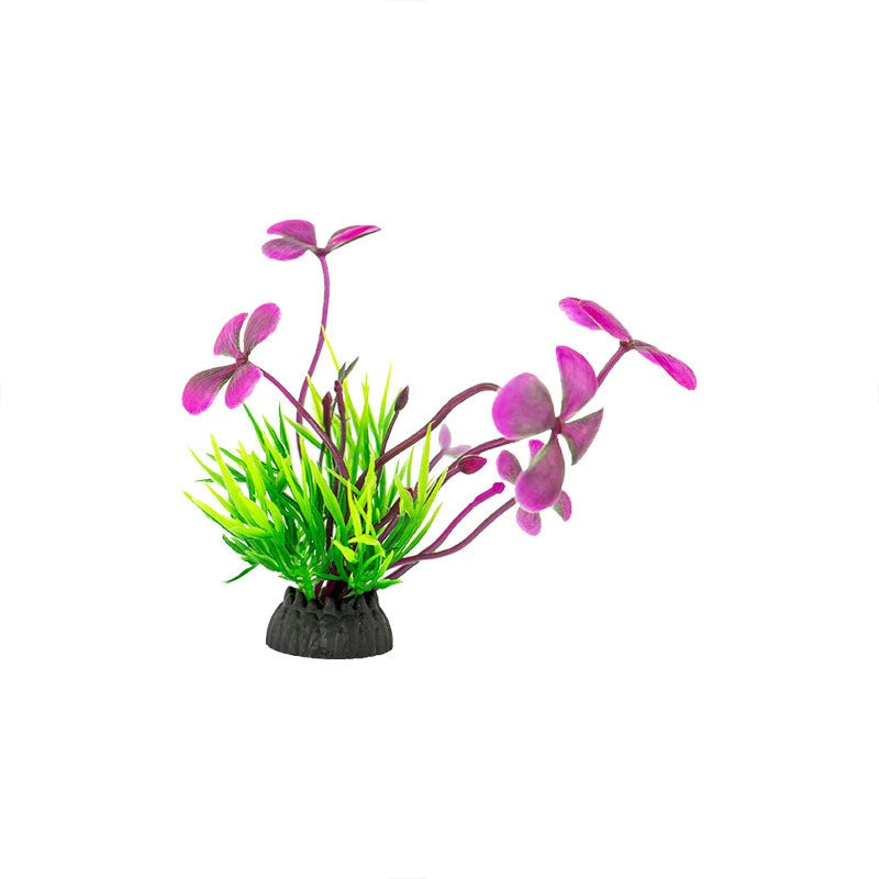 Zugo Pink Blossom Bush