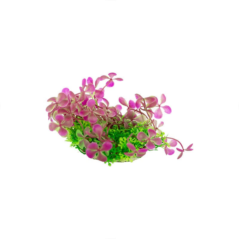 Zugo Pink Blossom Bush