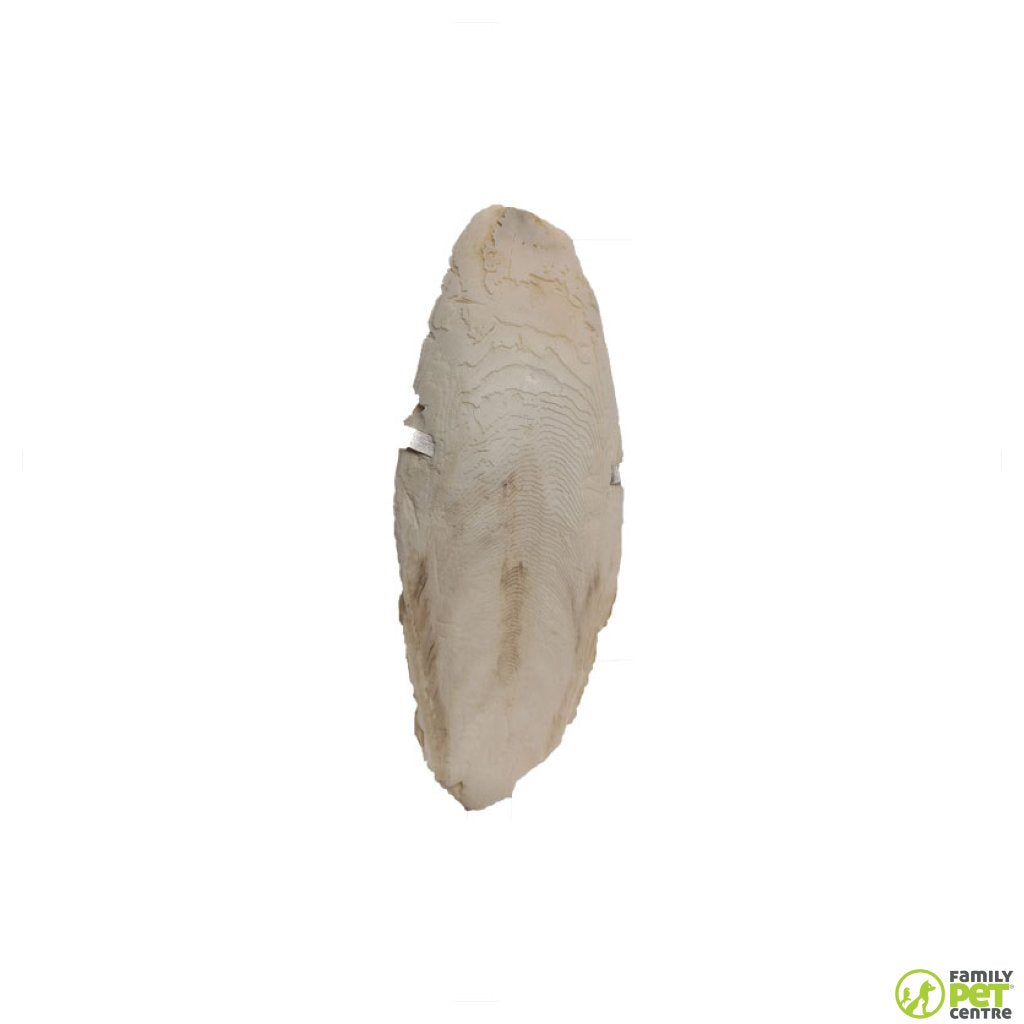 Birrdeez Cuttle fish Bone