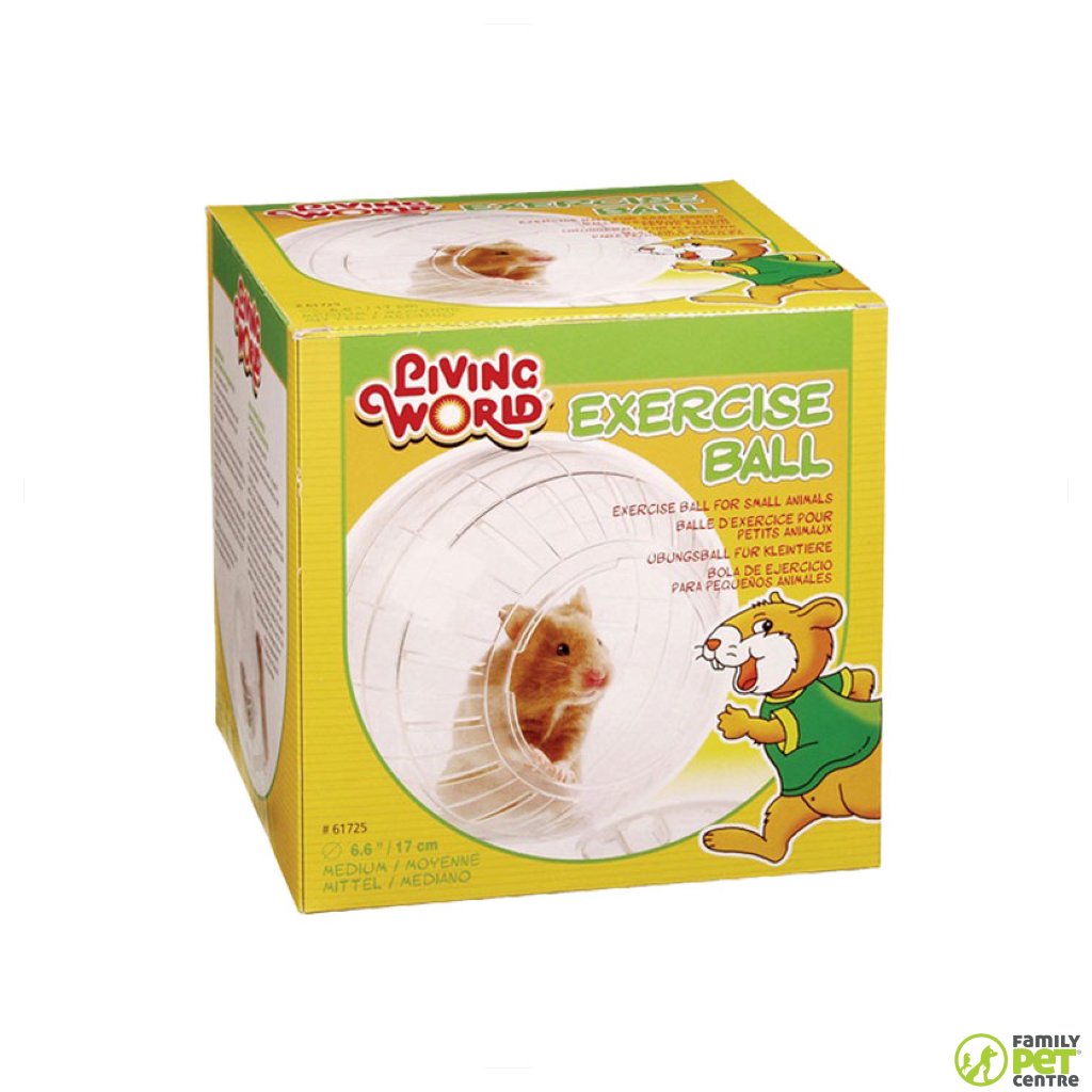 Living World Exercise Ball With Stand