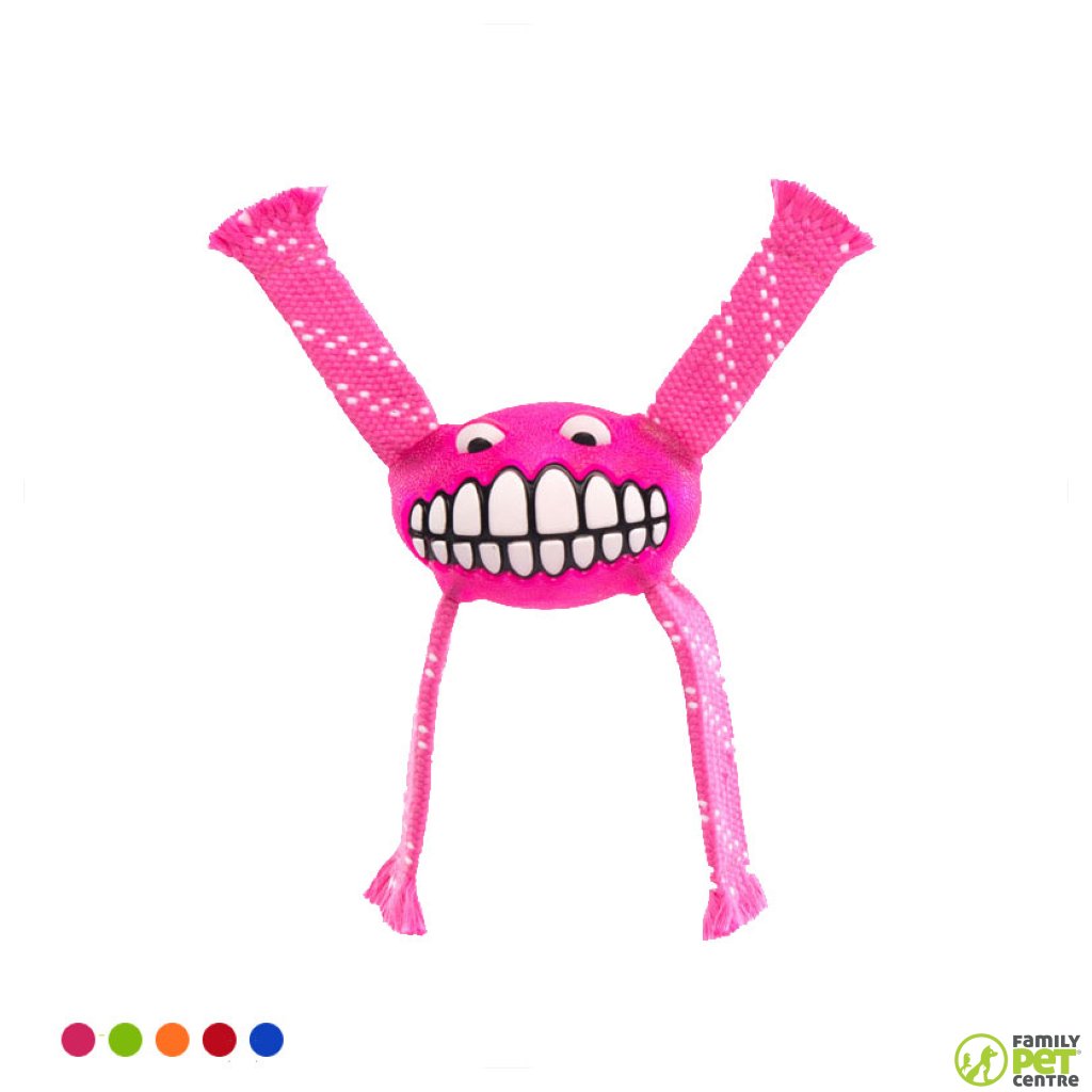 Rogz Flossy Grinz Dog Toy