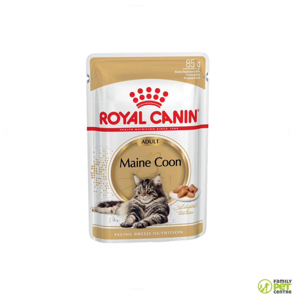 Royal Canin Maine Coon Wet Cat Food