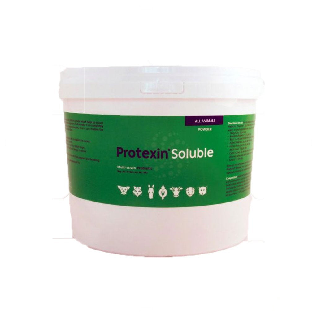 Kyron Protexin Soluble Probiotic Powder