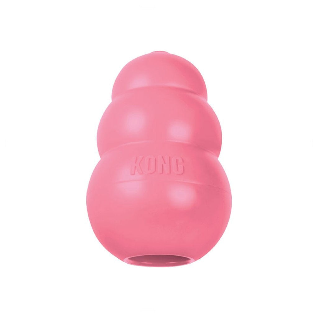 Kong Puppy Toy