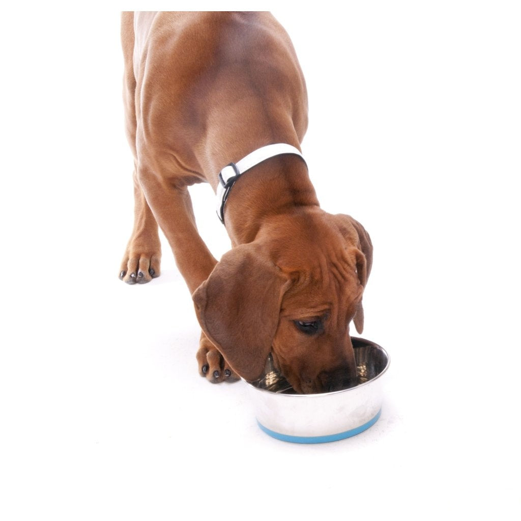 Rogz Stainless Steel Slurp Dog Bowl