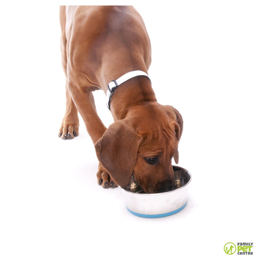 Rogz Stainless Steel Slurp Dog Bowl