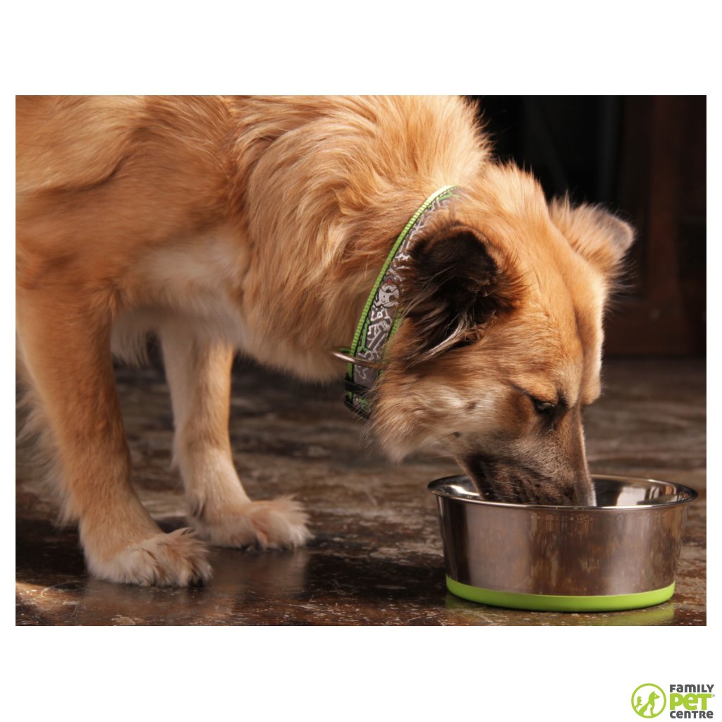 Rogz Stainless Steel Slurp Dog Bowl