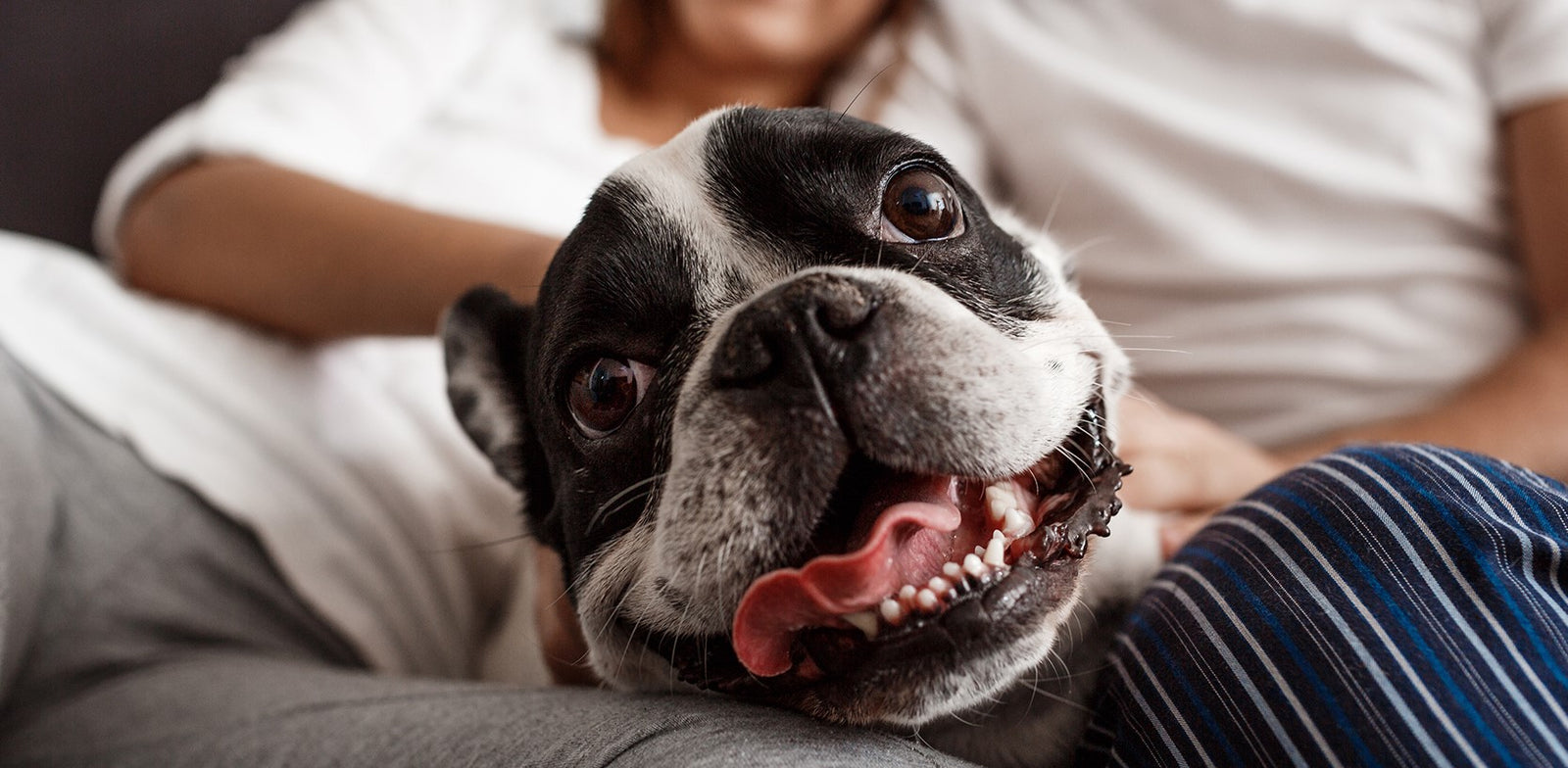 What’s That Smell?