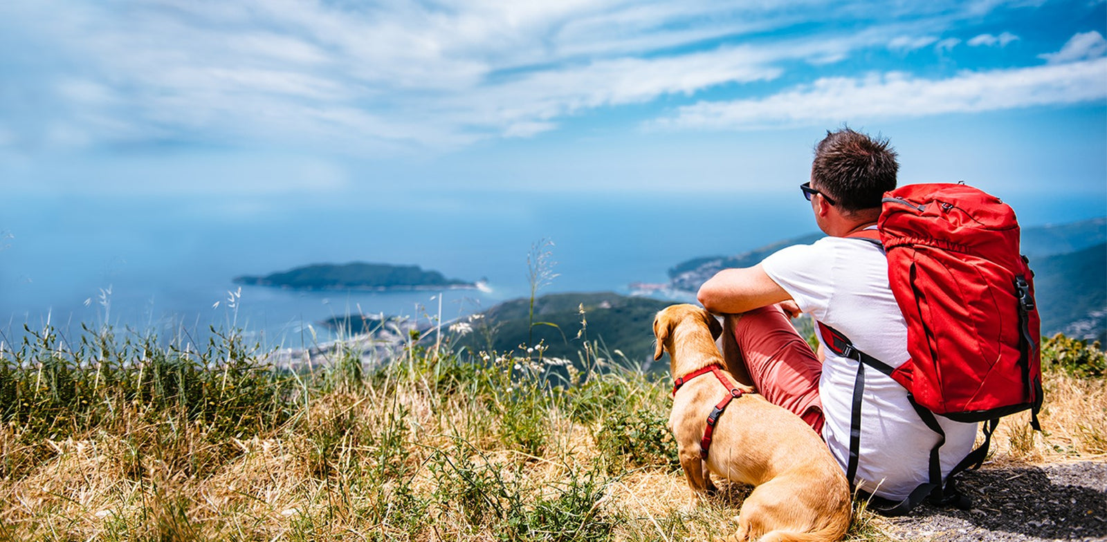 We’re All Going On a Summer Holiday