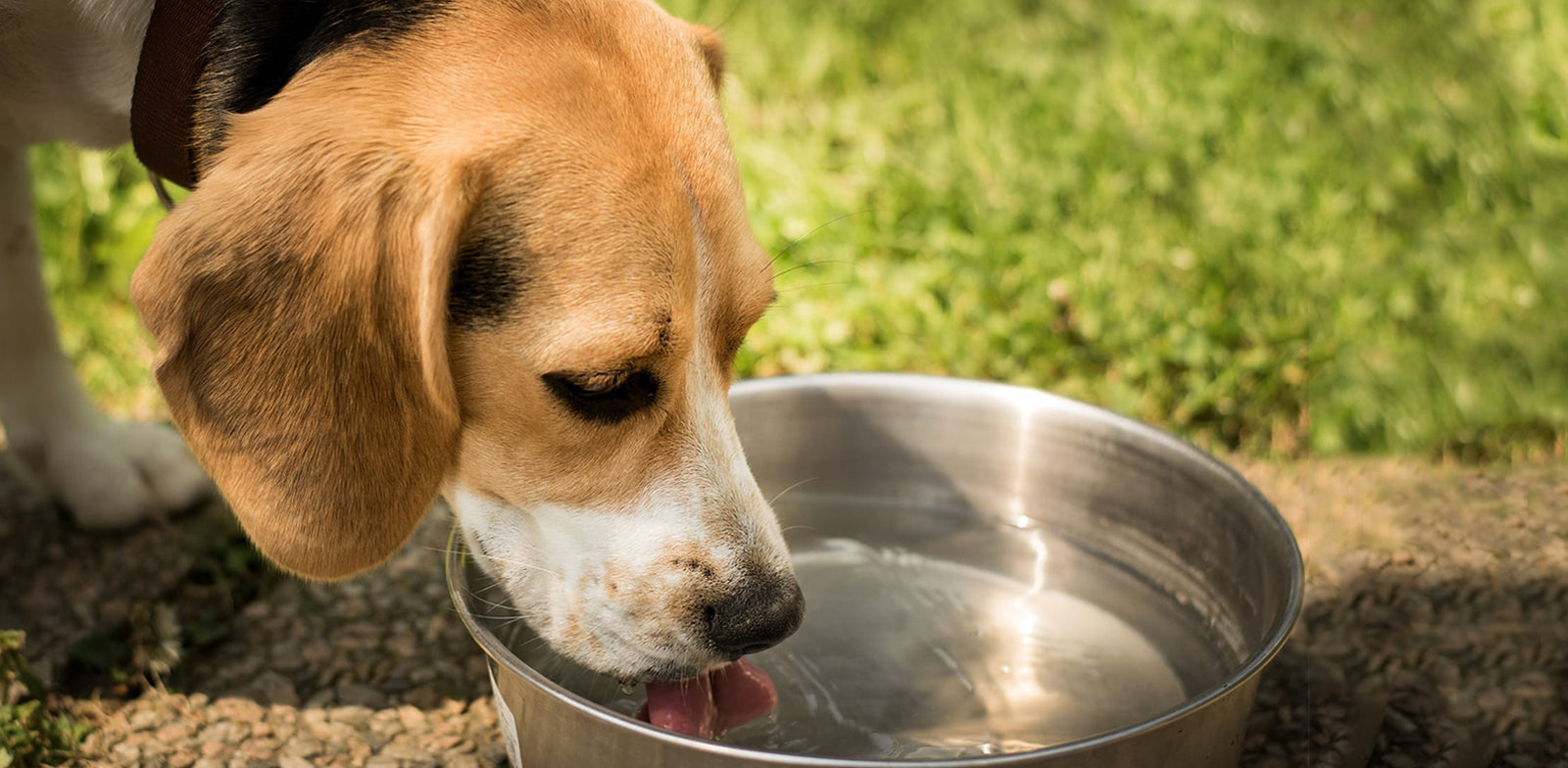 How to Combat the Heat