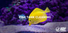 7 Steps To Fish Tank Cleaning