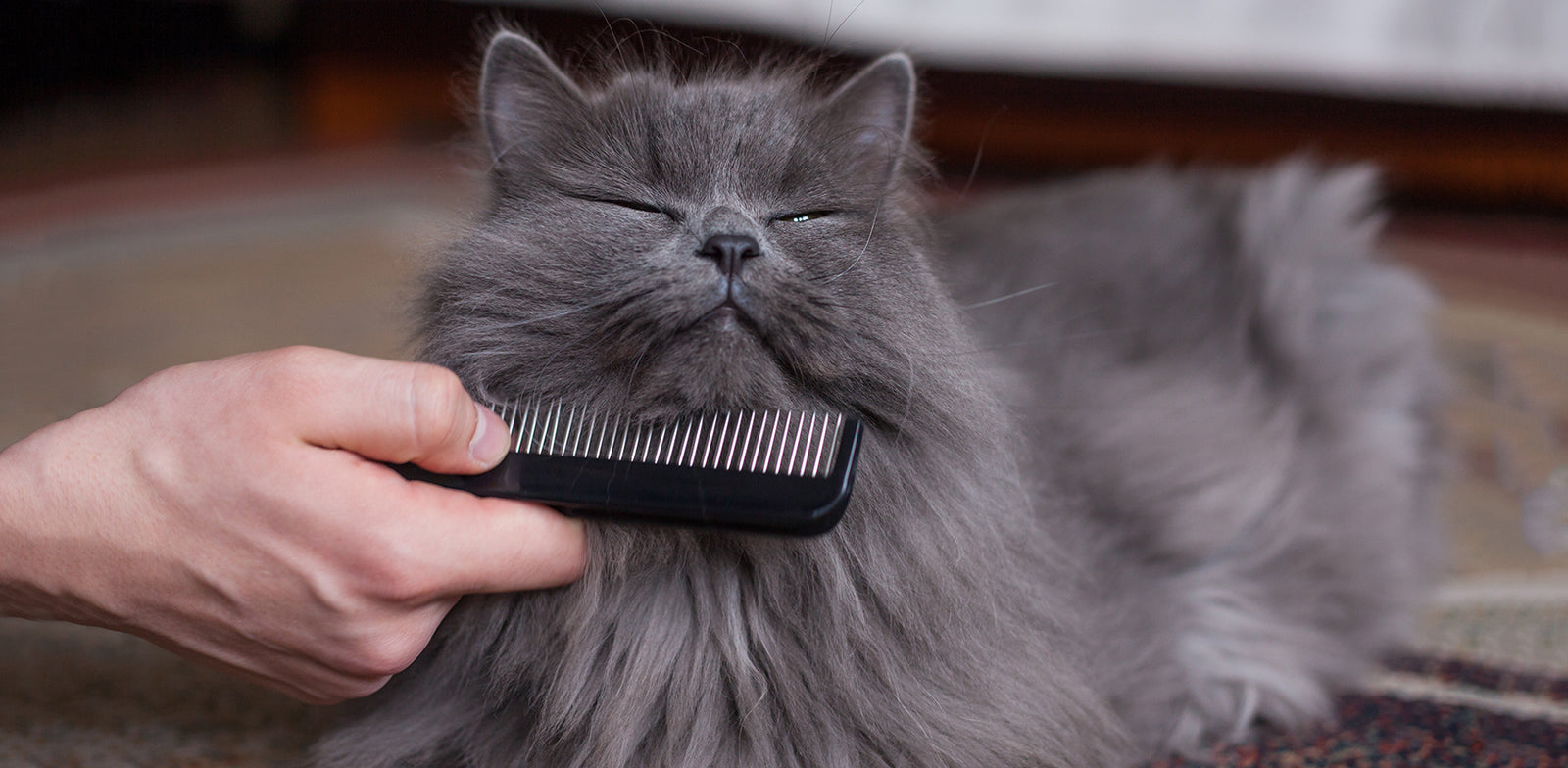 Oh No! Not Shedding Again!