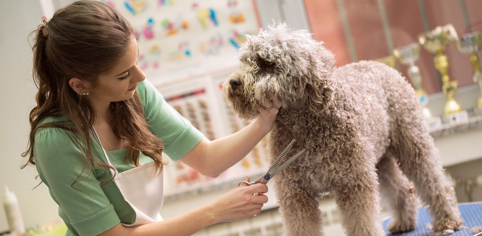 Pamper Sessions at the Salon