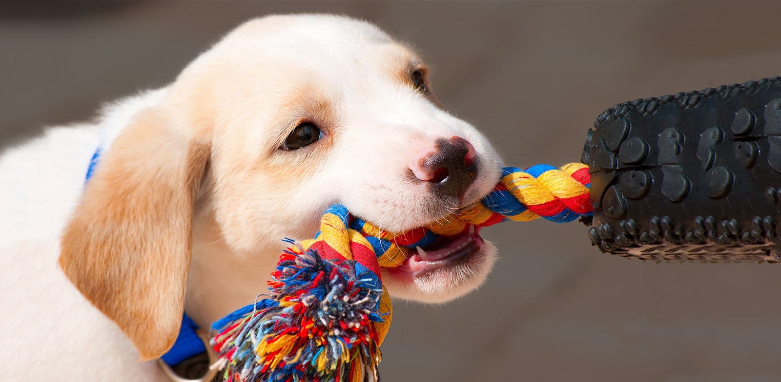 Stay Active In Winter