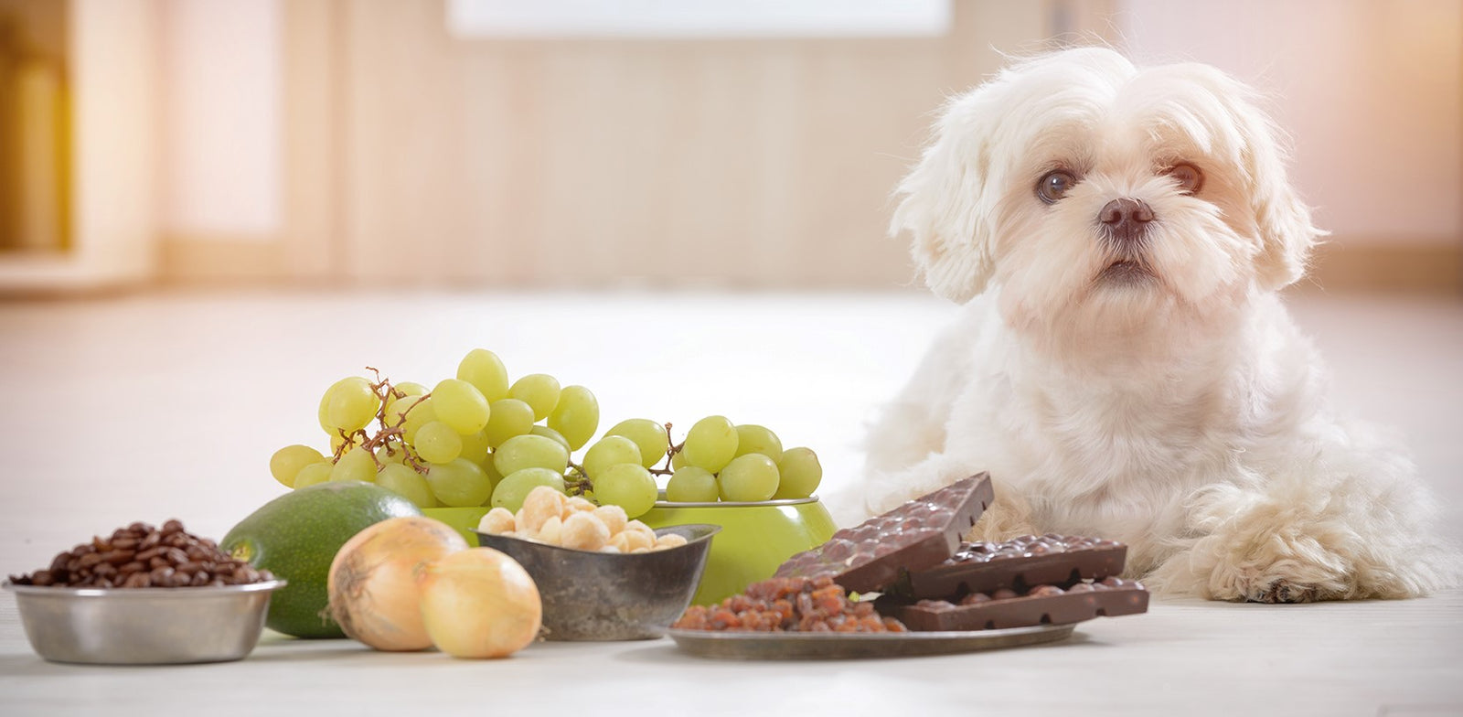 Table Scraps Are Never Acceptable