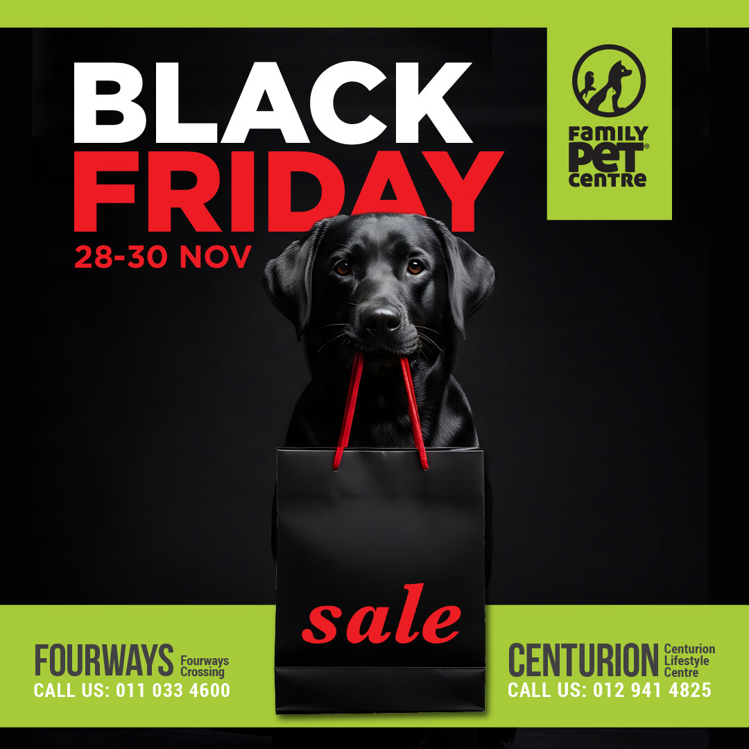 Black Friday Sale 2025