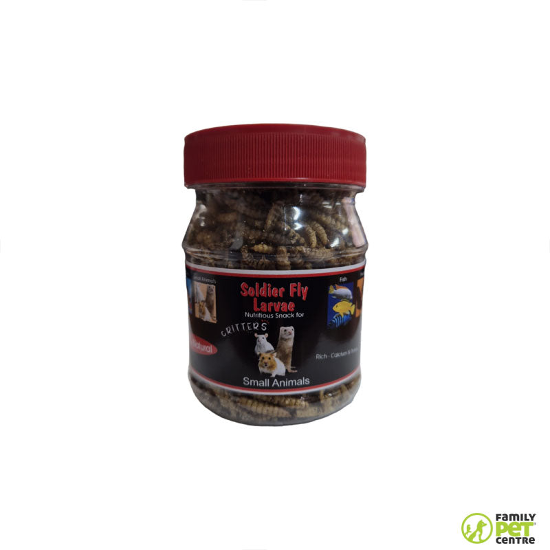 Akwa Soldier Fly Larvae Small Pet Treat