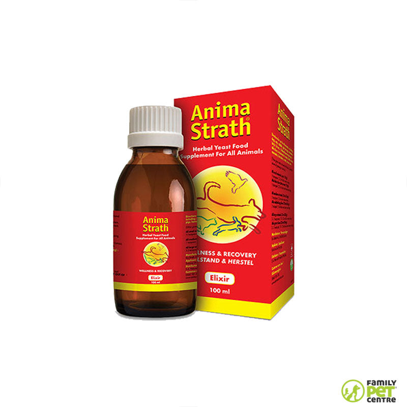 Anima Strath Elixir