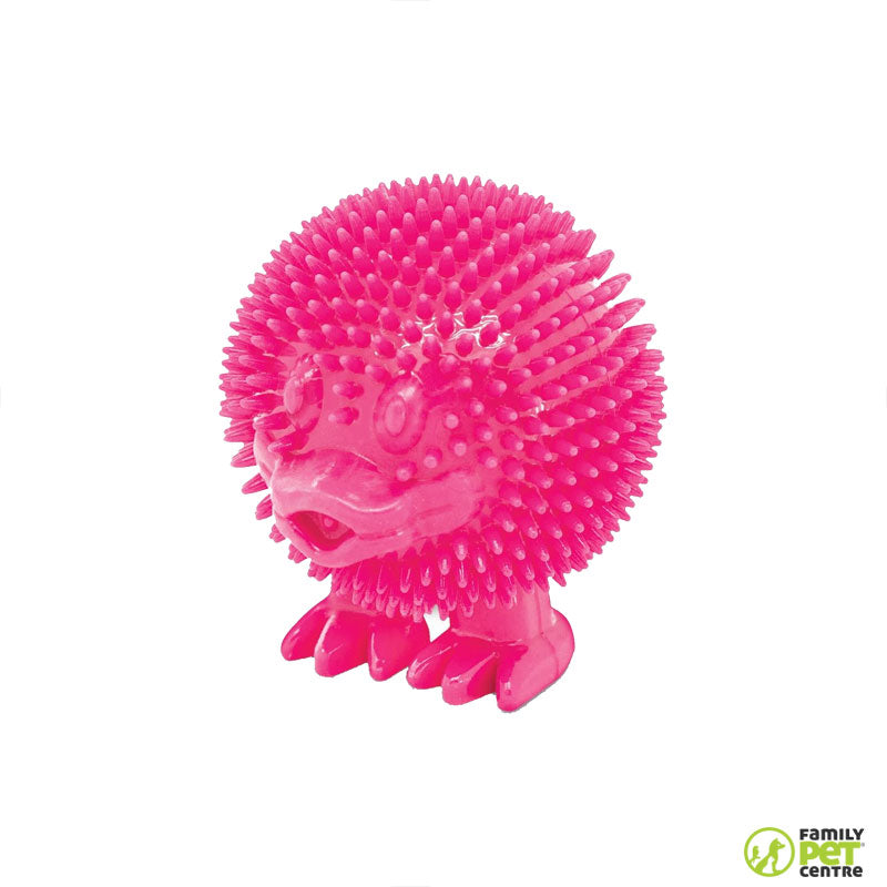 Best Pet Supplies Duck Ball