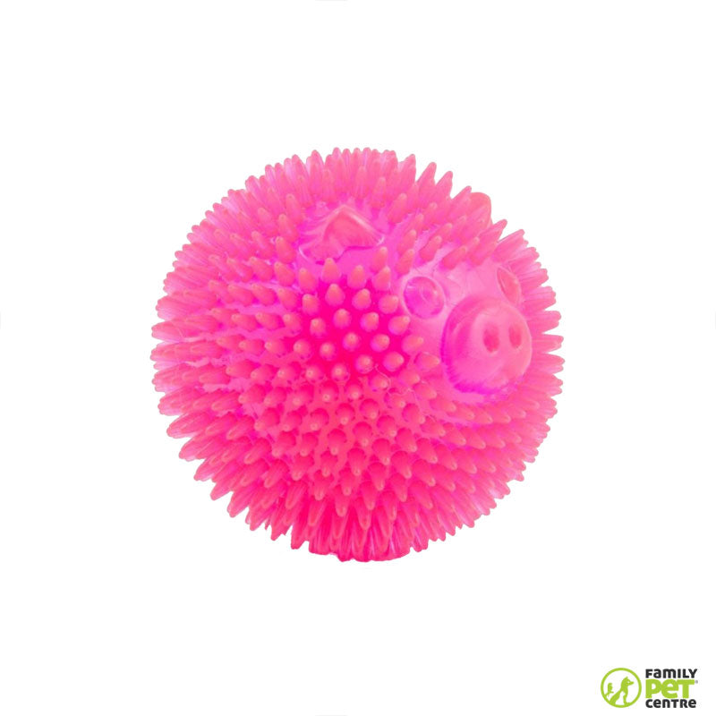 Best Pet Supplies Pig Ball