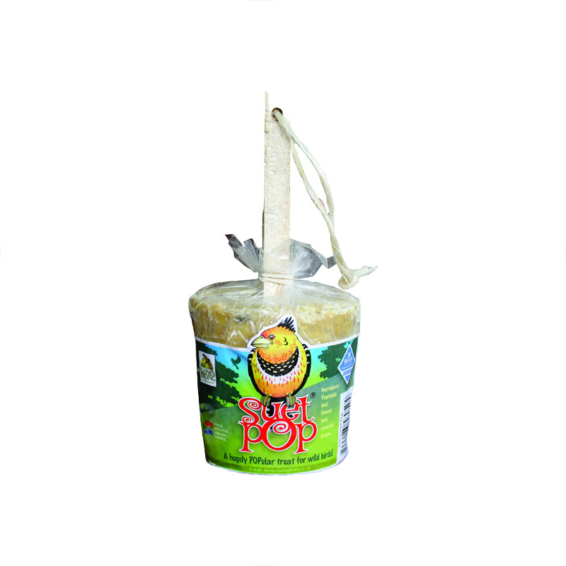 Elaine's Birding Peanut Suet Pop