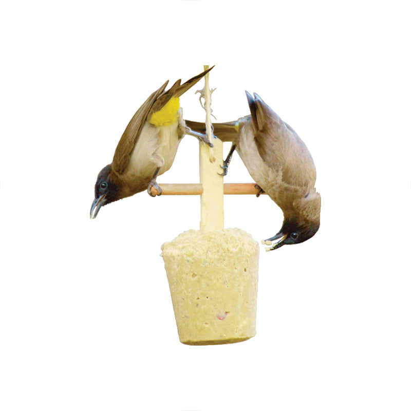 Elaine's Birding Seed Suet Pop