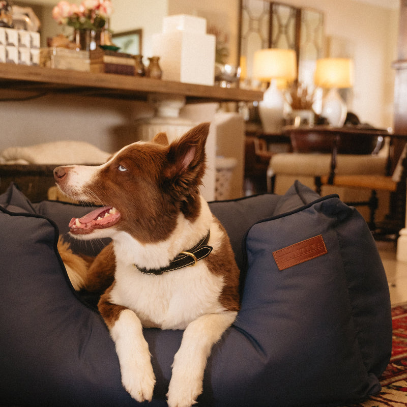 Huntlea Kalahari King Dog Bed