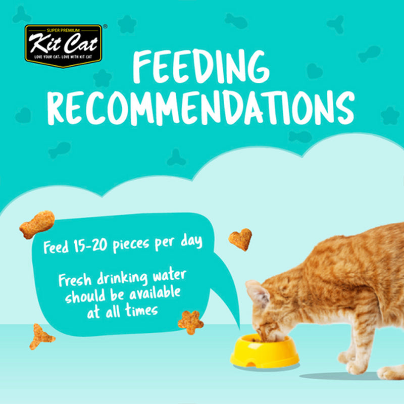 Kit Cat Kitty Crunch Treat 60g