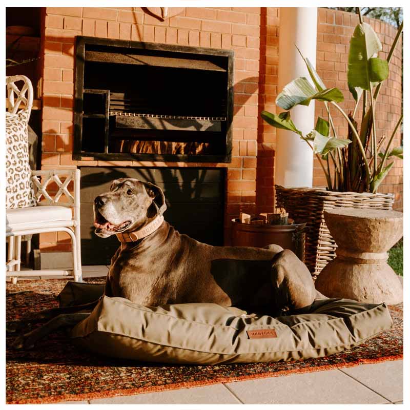 Huntlea Kalahari Orthapeadic Dog Bed