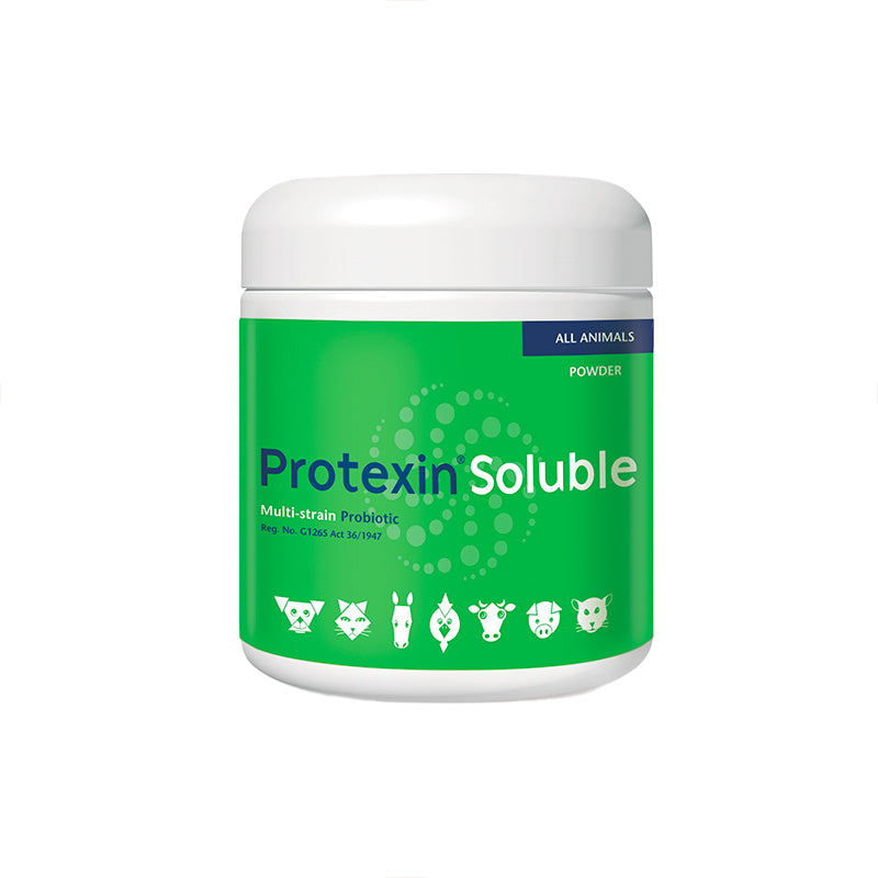 Kyron Protexin Soluble Probiotic Powder