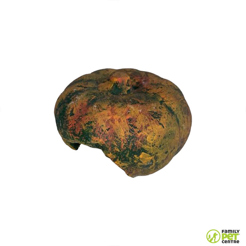 Marcca Reptile Pumpkin Hide