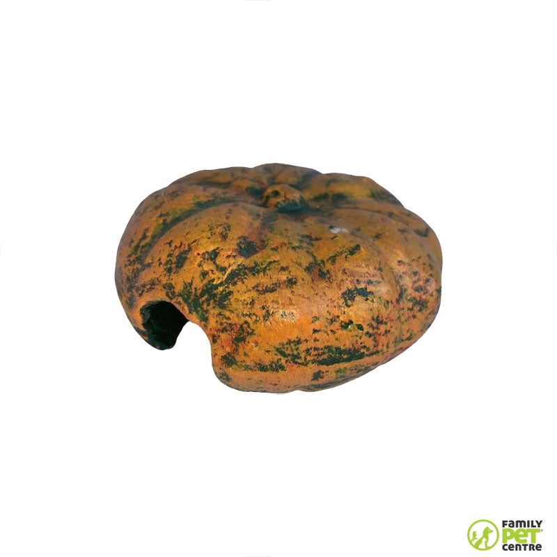 Marcca Reptile Pumpkin Hide