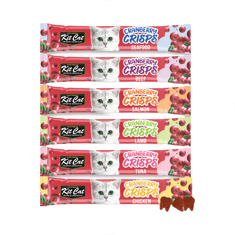 Kit Cat Cranberry Crisps 20g