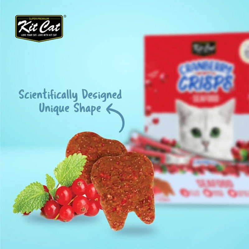 Kit Cat Cranberry Crisps 20g