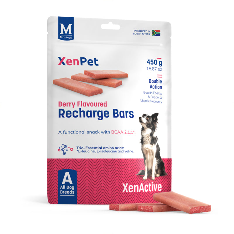 Montego XenPet Recharge Bars Dog Snack 450g