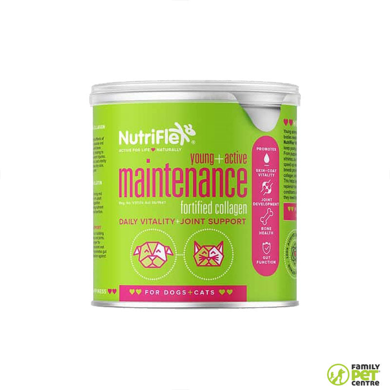 Nutriflex Everyday Maintenance Collagen