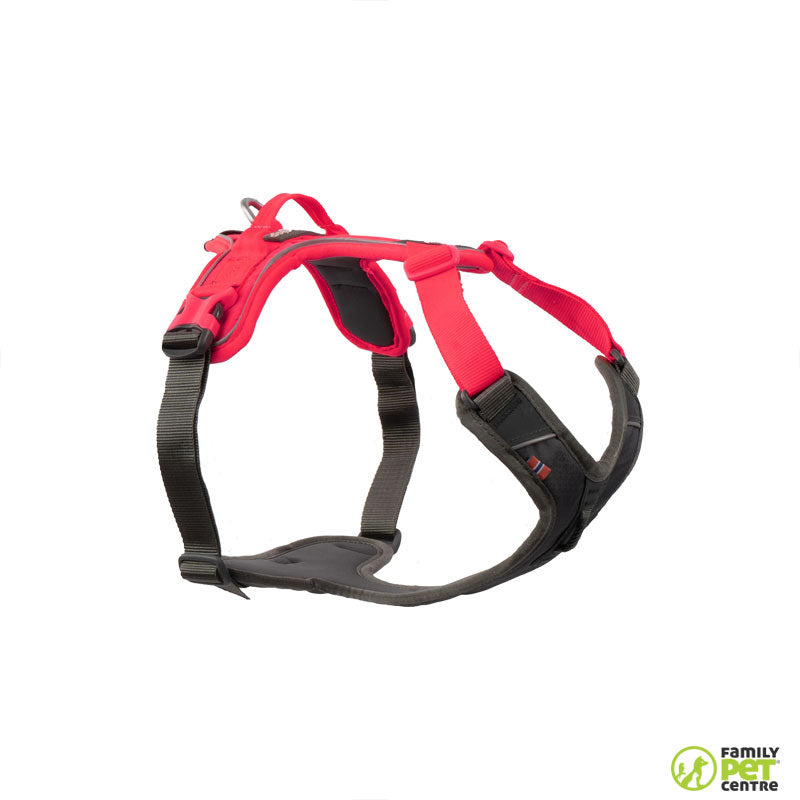 Non-stop dogwear Ramble Harness