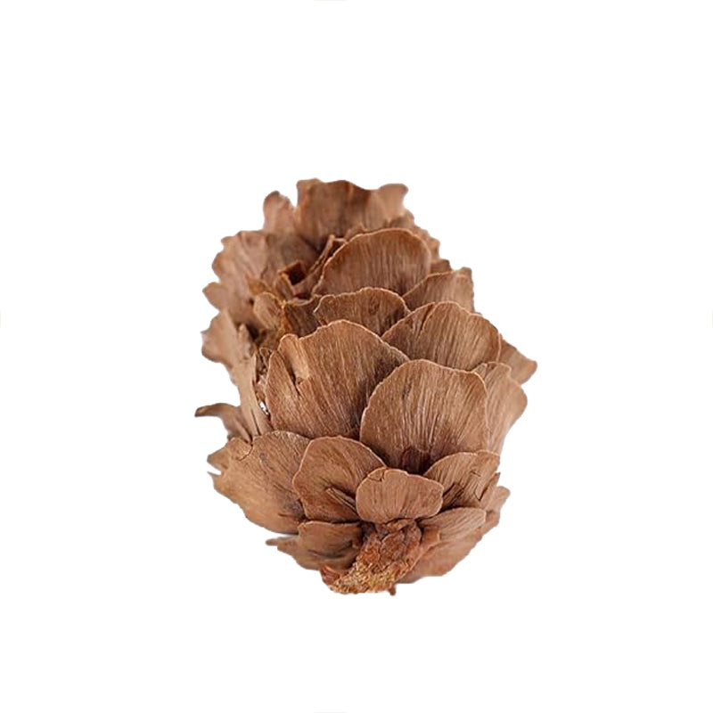 Little One Cedar Cone Treat for Small Animals