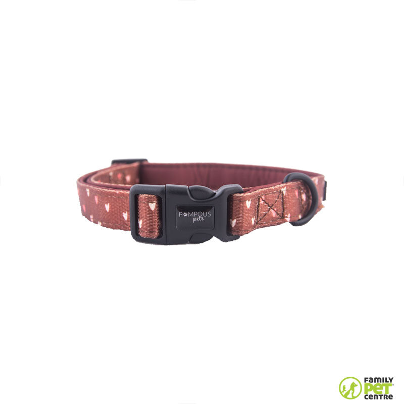 Pompous Terracotta Love Dog Collar