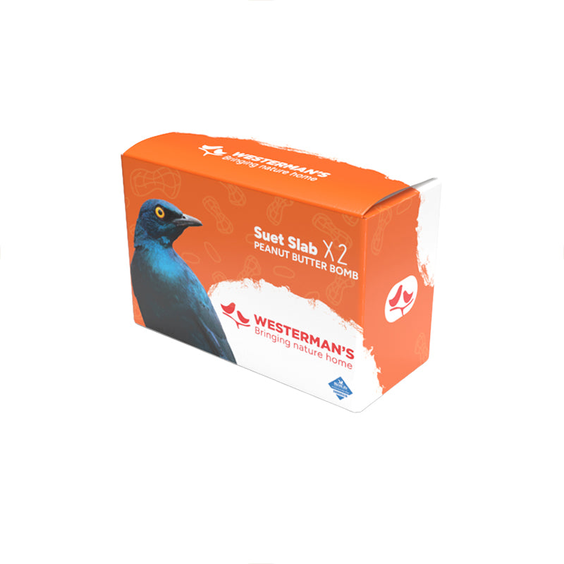 Westermans Wild Bird Suet Slab Treat Peanut Butter Bomb 2 pack