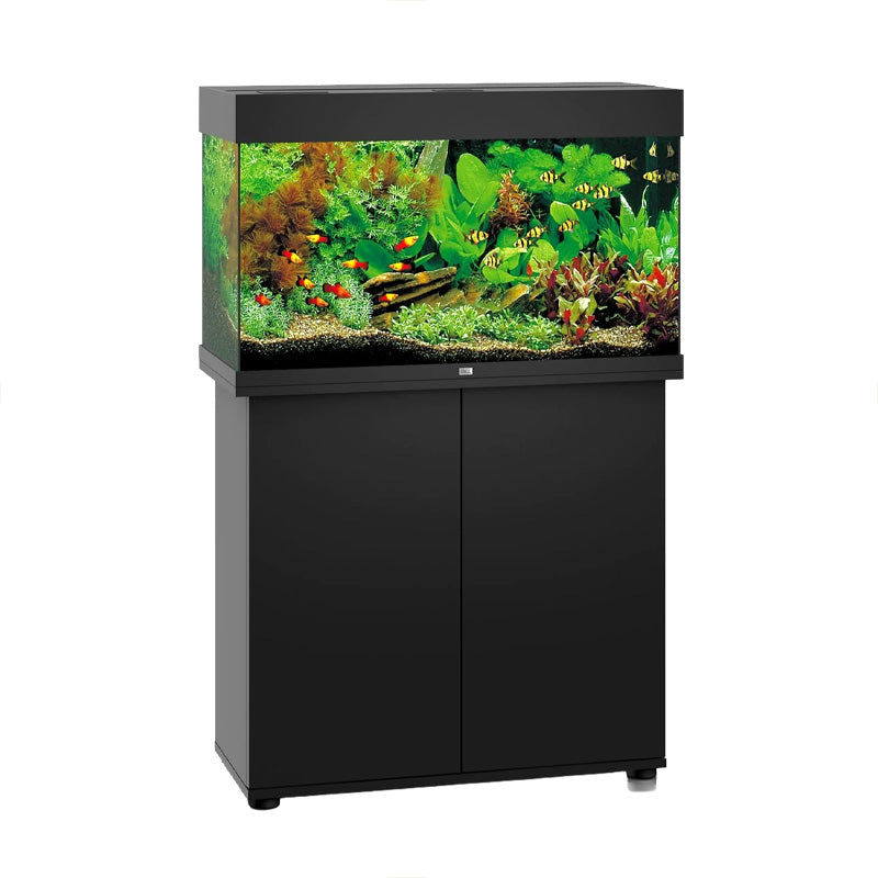 Juwel RIO 450 LED Fish Aquarium Dark Wood - 450 litre