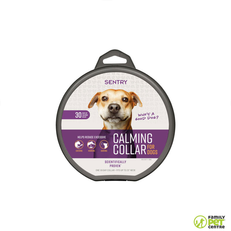 Sentry Calming Dog Collar