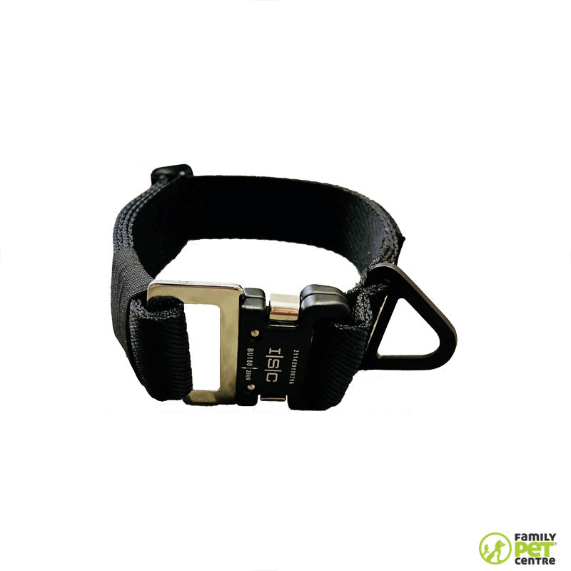 War Dog Bravo Dog Collar