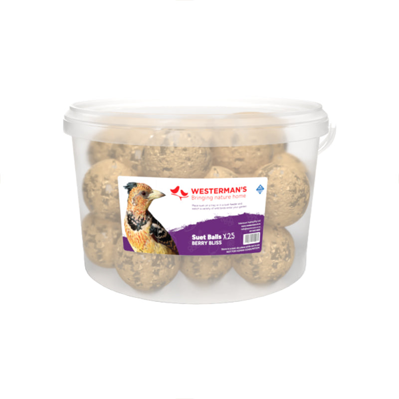 Westerman's Suet Balls Berry Bliss